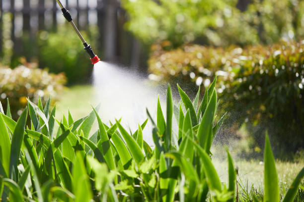 Tamper-Resistant Bait Stations for Rodents in Plainview