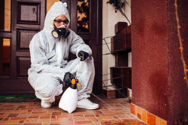 Attic and Crawl Space Rodent Treatment in Plainview